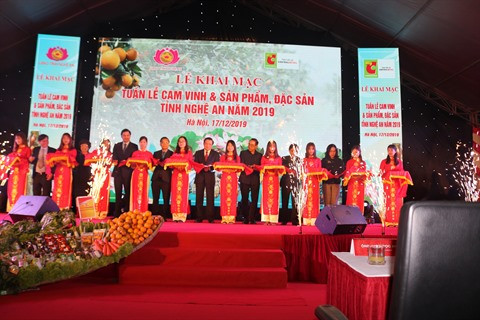 Les oranges de Vinh mis en avant à Hanoï ảnh 1 Les oranges de Vinh mis en avant à Hanoï ảnh 1