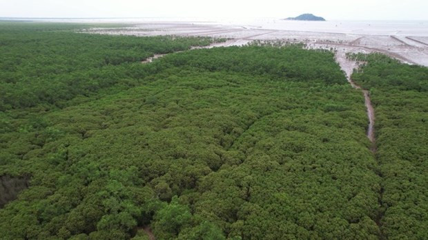 Le PNUD salue les efforts du Vietnam dans la réduction des risques de catastrophe ảnh 1 Le PNUD salue les efforts du Vietnam dans la réduction des risques de catastrophe ảnh 1