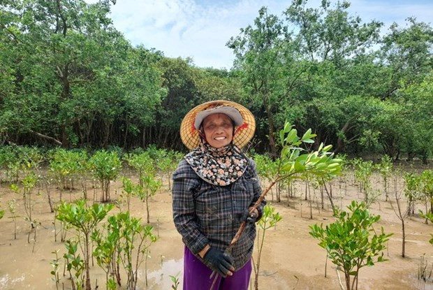 Le PNUD salue les efforts du Vietnam dans la réduction des risques de catastrophe ảnh 3 Le PNUD salue les efforts du Vietnam dans la réduction des risques de catastrophe ảnh 3
