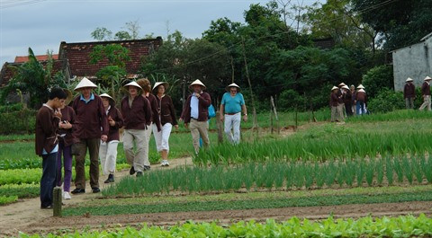 Sur les traces d'une «Route de la céramique» à Hôi An ảnh 2