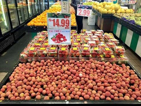 Créer une place digne des fruits du Vietnam sur le marché mondial ảnh 1 Créer une place digne des fruits du Vietnam sur le marché mondial ảnh 1
