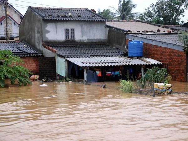 Le PM décide d’octroyer 2.000 tonnes de riz aux sinistrés de Binh Dinh ảnh 1 Le PM décide d’octroyer 2.000 tonnes de riz aux sinistrés de Binh Dinh ảnh 1
