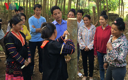 Dien Bien, où l’hévéa repoussera la pauvreté ảnh 2 Dien Bien, où l’hévéa repoussera la pauvreté ảnh 2