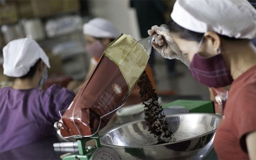 Tata Coffee prévoit de créer une usine de café instantané au Vietnam ảnh 1 Tata Coffee prévoit de créer une usine de café instantané au Vietnam ảnh 1