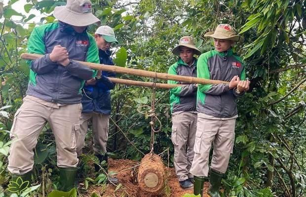Quang Tri: neutralisation réussie d'une bombe MK81 de 119kg ảnh 1 Quang Tri: neutralisation réussie d'une bombe MK81 de 119kg ảnh 1