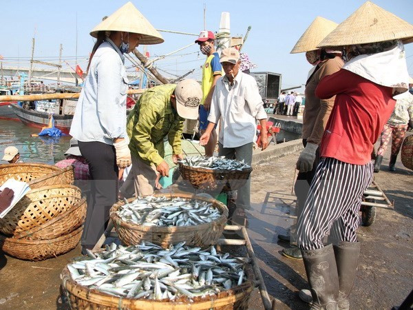 Formosa : achèvement fondamental de l’indemnisation des habitants sinistrés ảnh 2 Formosa : achèvement fondamental de l’indemnisation des habitants sinistrés ảnh 2