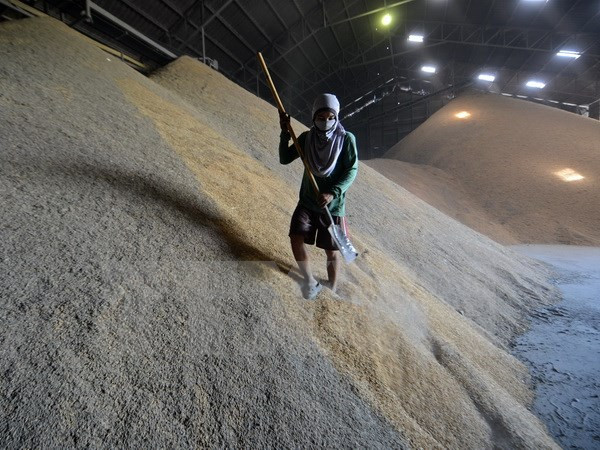 Thaïlande: sanctions sévères contre les intermédiaires illégaux des travailleurs ảnh 1 Thaïlande: sanctions sévères contre les intermédiaires illégaux des travailleurs ảnh 1