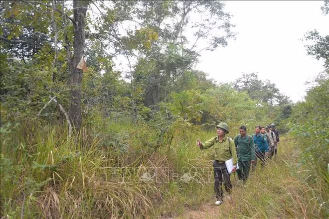 Renforcement de la protection des espèces sauvages ảnh 1