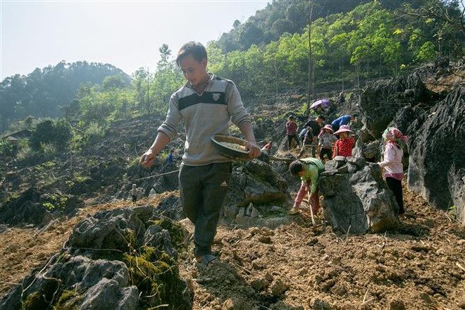 Cao Bang s’efforce de diminuer son taux de ménages pauvres de 4 points cette année ảnh 1 Cao Bang s’efforce de diminuer son taux de ménages pauvres de 4 points cette année ảnh 1