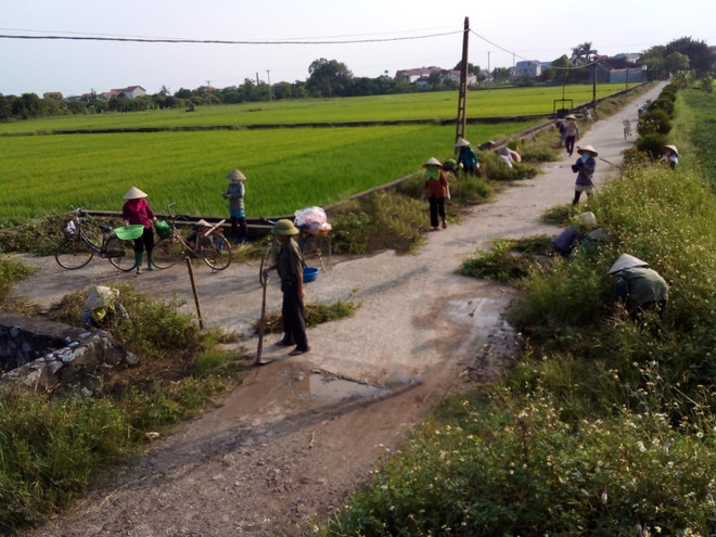 Nouvelle Ruralité : Plus de 1.300 milliards de dongs pour des infrastructures à Hung Yen ảnh 1 Nouvelle Ruralité : Plus de 1.300 milliards de dongs pour des infrastructures à Hung Yen ảnh 1