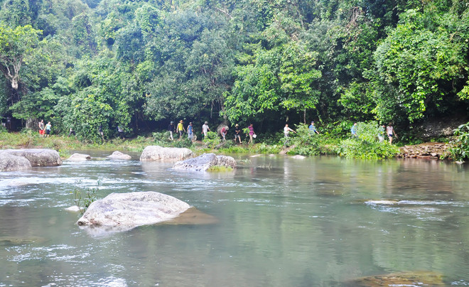 Bac Giang a atteint un taux de couverture forestière de 37,8% ảnh 1 Bac Giang a atteint un taux de couverture forestière de 37,8% ảnh 1