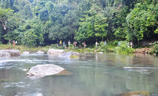 Bac Giang a atteint un taux de couverture forestière de 37,8% ảnh 1