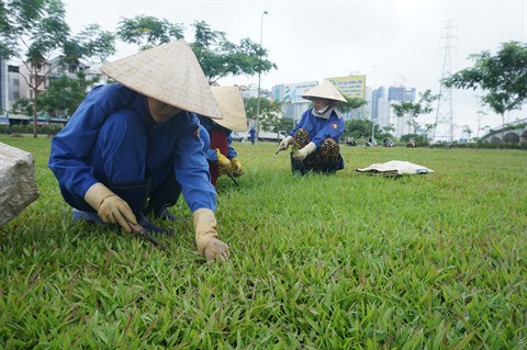 Redonner vie aux espaces verts à Hô Chi Minh-Ville ảnh 1 Redonner vie aux espaces verts à Hô Chi Minh-Ville ảnh 1