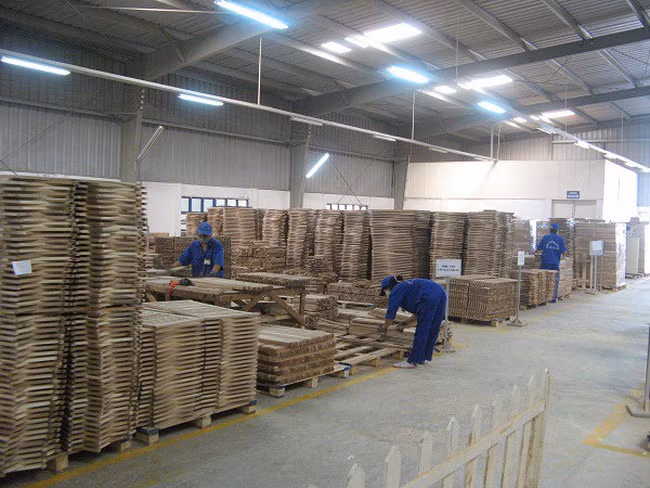 Les exportations nationales de bois atteindront certainement 10 milliards de dollars en 2020 ảnh 1