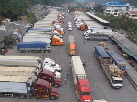 Des mesures aux portes-frontières pour faciliter l’exportation de produits agricoles ảnh 1 Des mesures aux portes-frontières pour faciliter l’exportation de produits agricoles ảnh 1