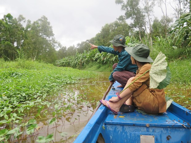 Journée mondiale de l'environnement: Conservation des écosystèmes dans le delta du Mékong ảnh 3