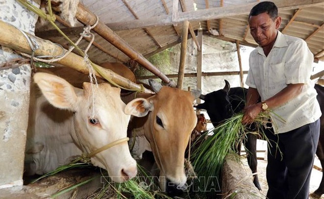 Le taux de pauvreté multidimensionnel du Vienam en forte baisse entre 2016-2020 ảnh 2 Le taux de pauvreté multidimensionnel du Vienam en forte baisse entre 2016-2020 ảnh 2