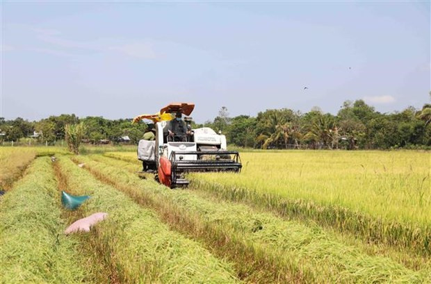 Des entreprises australiennes souhaitent investir dans l'agritech au Vietnam ảnh 1 Des entreprises australiennes souhaitent investir dans l'agritech au Vietnam ảnh 1