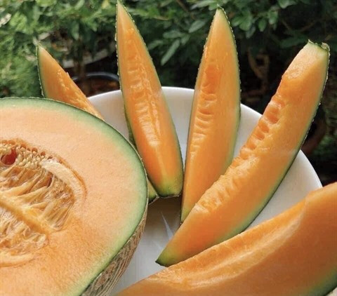 À la recherche de multiples canaux de consommation ảnh 1 À la recherche de multiples canaux de consommation ảnh 1