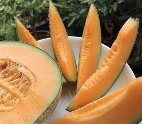 À la recherche de multiples canaux de consommation ảnh 1