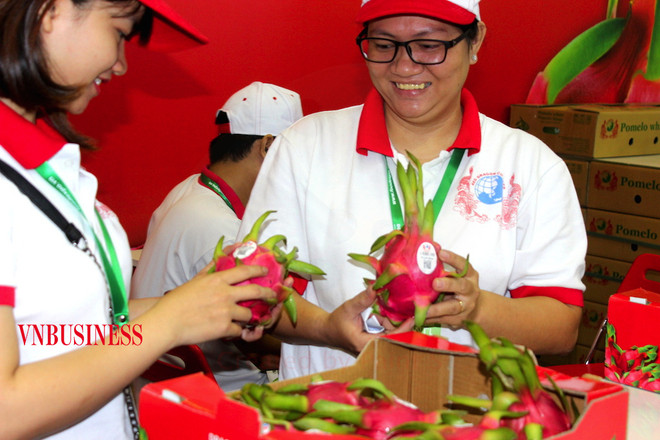 Fruits: Bon signe pour les exportations au cours des premiers mois de 2023 ảnh 2