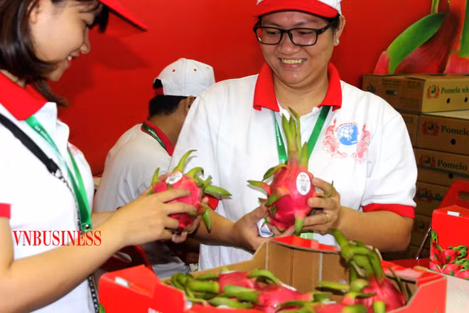 Fruits: Bon signe pour les exportations au cours des premiers mois de 2023 ảnh 2