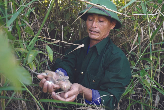 Des paysans dévoués aux oiseaux sauvages ảnh 2 Des paysans dévoués aux oiseaux sauvages ảnh 2