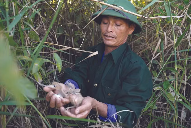 Des paysans dévoués aux oiseaux sauvages ảnh 2