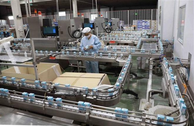Les entreprises ont besoin de dizaines de milliers de travailleurs ảnh 2 Les entreprises ont besoin de dizaines de milliers de travailleurs ảnh 2