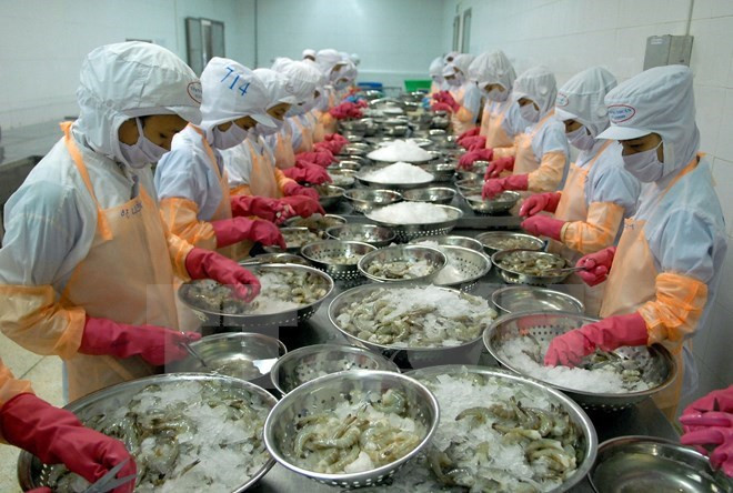 Hausse des exportations de crevettes aux Etats-Unis ảnh 1 Hausse des exportations de crevettes aux Etats-Unis ảnh 1
