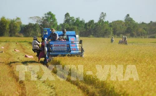 Surmonter des barrières techniques pour exporter des produits agricoles vers l’Europe ảnh 1