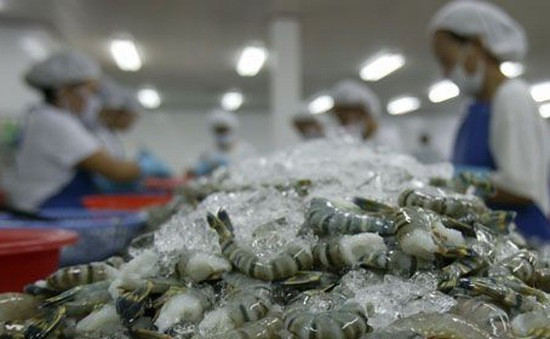 Hausse des exportations de crevettes les deux premiers mois de l’année ảnh 1 Hausse des exportations de crevettes les deux premiers mois de l’année ảnh 1