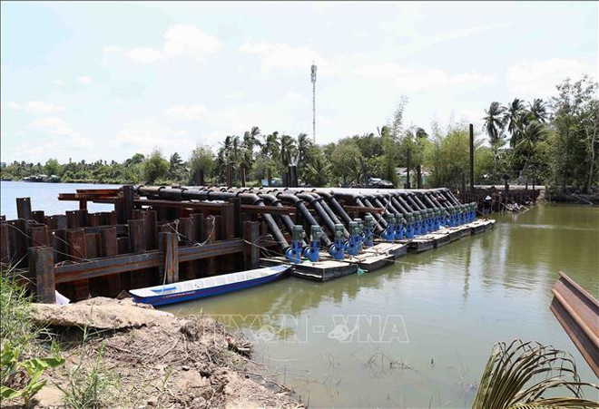 L’intrusion salée dans le delta du Mékong sera à un haut niveau en avril ảnh 1