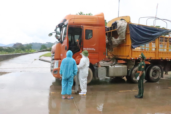 Quang Ninh assure le contrôle de l’épidémie dans les activités d’import-export ảnh 2 Quang Ninh assure le contrôle de l’épidémie dans les activités d’import-export ảnh 2