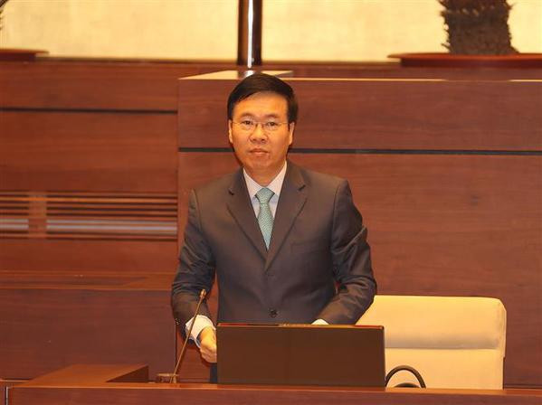 La politique étrangère vietnamienne persiste sur la voie de l’indépendance et du socialisme ảnh 3 La politique étrangère vietnamienne persiste sur la voie de l’indépendance et du socialisme ảnh 3