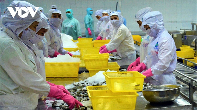Le CPTPP, deuxième marché d'exportation de crevettes du Vietnam ảnh 1 Le CPTPP, deuxième marché d'exportation de crevettes du Vietnam ảnh 1