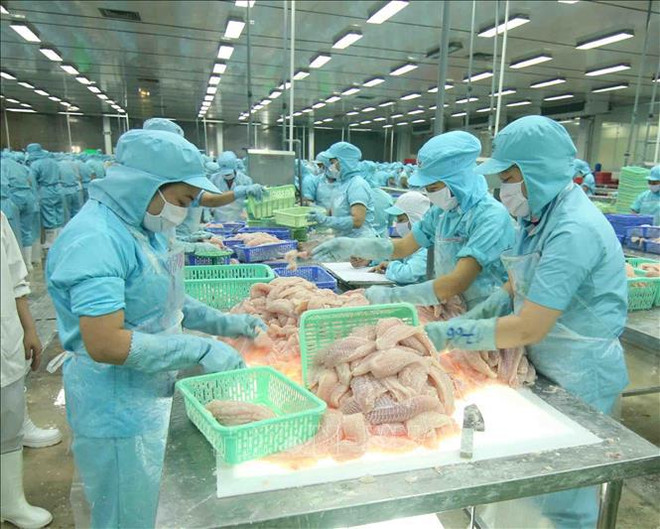 Les exportations de produits agricoles, sylvicoles et aquacoles dépasseront 47 milliards de dollars ảnh 1 Les exportations de produits agricoles, sylvicoles et aquacoles dépasseront 47 milliards de dollars ảnh 1