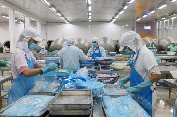 Les exportations de produits agricoles, sylvicoles et aquacoles dépasseront l’objectif fixé ảnh 1 Les exportations de produits agricoles, sylvicoles et aquacoles dépasseront l’objectif fixé ảnh 1