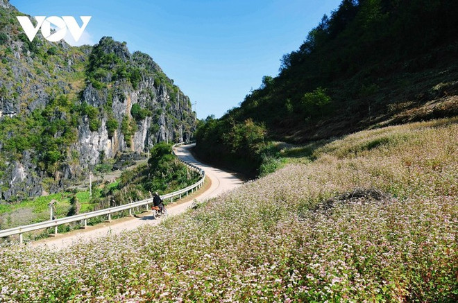 Lancement d’un programme de promotion du tourisme domestique ảnh 1 Lancement d’un programme de promotion du tourisme domestique ảnh 1