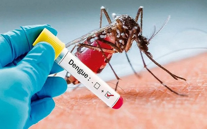 L'Indonésie enregistre une multiplication par trois des cas de dengue ảnh 1 L'Indonésie enregistre une multiplication par trois des cas de dengue ảnh 1