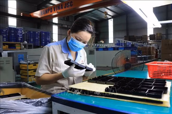 Perfectionnement des mécanismes pour développer les industries auxiliaires ảnh 2