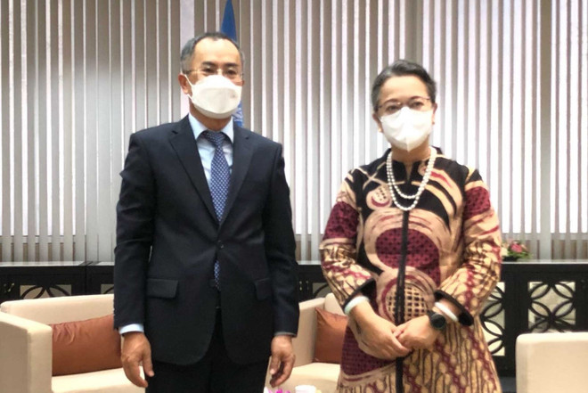 La CESAP prend en haute considération le partenariat avec le Vietnam ảnh 1 La CESAP prend en haute considération le partenariat avec le Vietnam ảnh 1