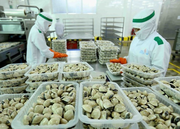 Les entreprises européennes optimistes quant au climat des affaires au Vietnam ảnh 1 Les entreprises européennes optimistes quant au climat des affaires au Vietnam ảnh 1