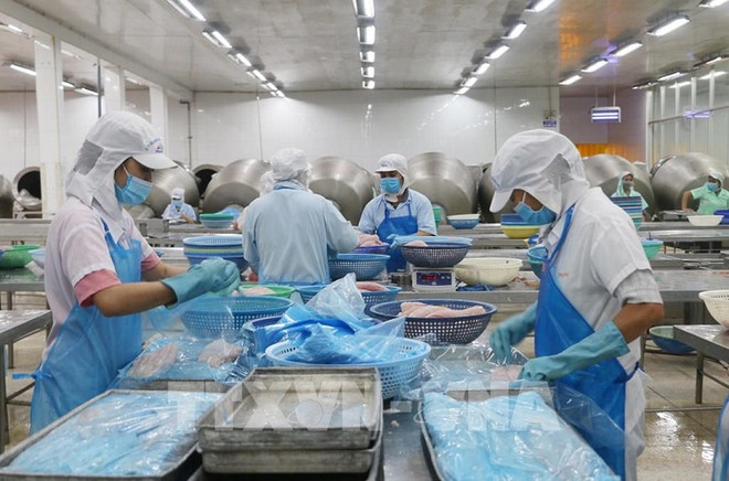 An Giang vise une valeur d'exportation de près de 5,3 milliards de dollars d'ici 2025 ảnh 1