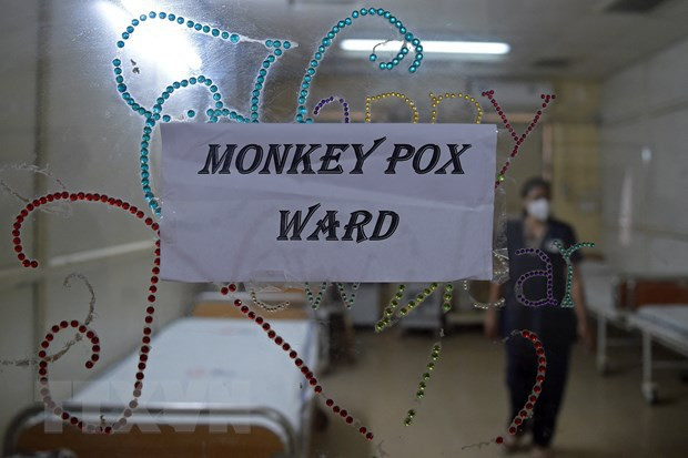 L'Inde aide le Vietnam à former des experts pour prévenir la variole du singe ảnh 1 L'Inde aide le Vietnam à former des experts pour prévenir la variole du singe ảnh 1