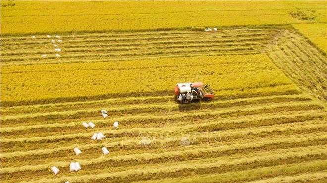 S'orienter vers l'agriculture verte et durable ảnh 1 S'orienter vers l'agriculture verte et durable ảnh 1
