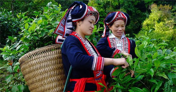 Evaluation d'un projet financé par le Canada en faveur des femmes ethniques à Lai Chau ảnh 1 Evaluation d'un projet financé par le Canada en faveur des femmes ethniques à Lai Chau ảnh 1