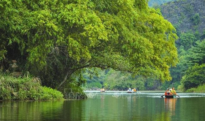 Tourisme: le Vietnam vise 5 millions de visiteurs internationaux en 2022 ảnh 2 Tourisme: le Vietnam vise 5 millions de visiteurs internationaux en 2022 ảnh 2