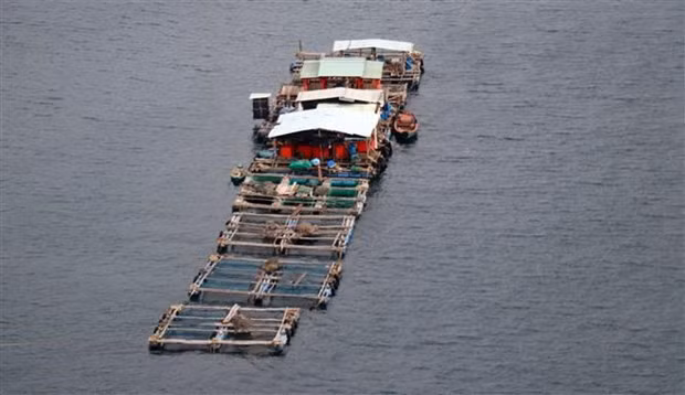 Kien Giang se concentre sur le développement des infrastructures de pêche ảnh 2 Kien Giang se concentre sur le développement des infrastructures de pêche ảnh 2
