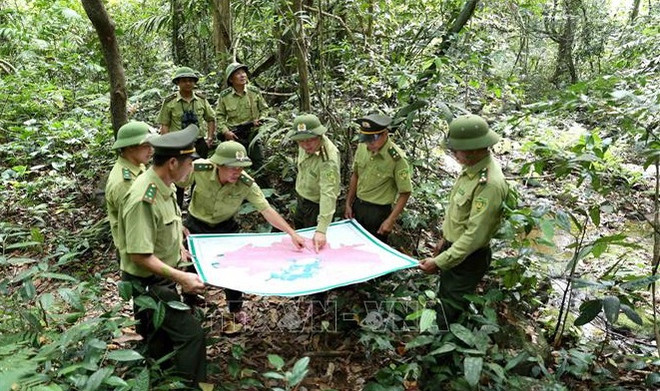 Aide américaine dans la formation des gardes forestiers du Vietnam ảnh 1